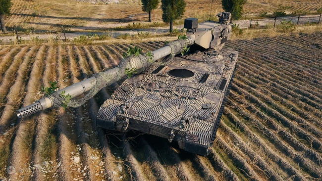 Уникальная кастомизация танка 11 уровня Hirschkäfer в World of Tanks 2.0