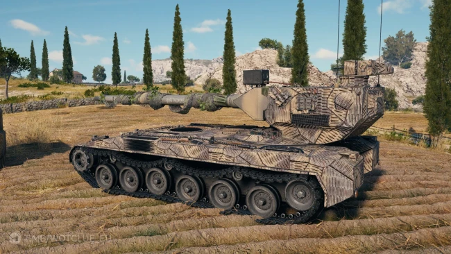 Уникальная кастомизация танка 11 уровня Hirschkäfer в World of Tanks 2.0