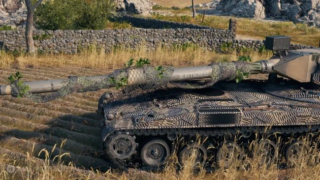 Уникальная кастомизация танка 11 уровня Hirschkäfer в World of Tanks 2.0