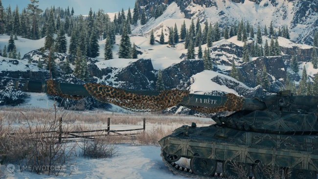 Уникальная кастомизация танка 11 уровня AMX 67 Imbattable в World of Tanks 2.0