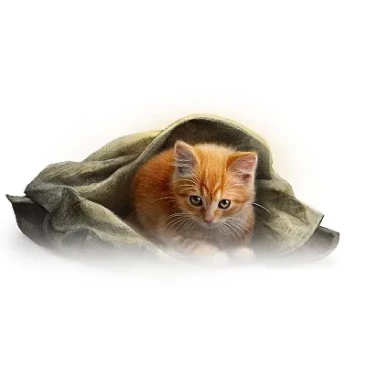 Новая сущность: Питомцы в обновлении 2.1 World of Tanks