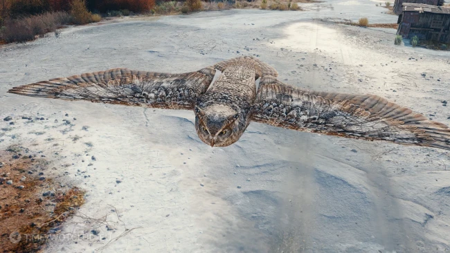 3D-стиль «Полярная буря» для танка Kunze Panzer в World of Tanks 3D-стиль «Полярная буря» для танка Kunze Panzer в World of Tanks