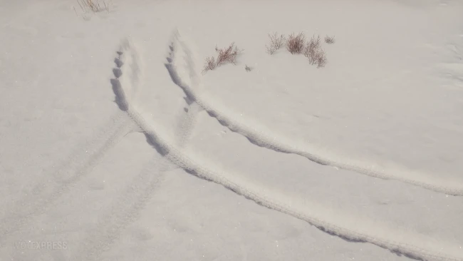 Небольшое обновление 22 января в World of Tanks 2026